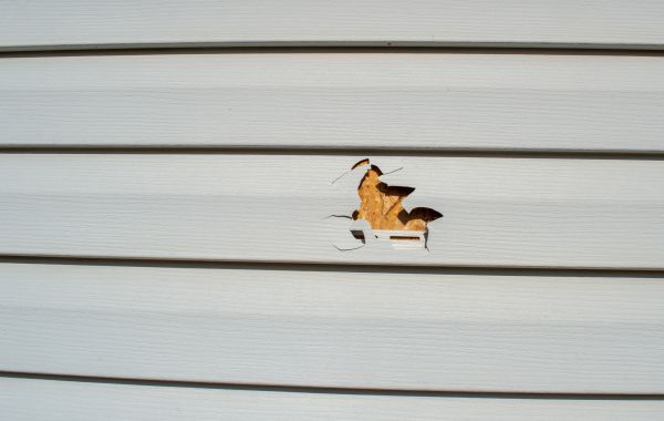 Cost of Siding Hole Repair in Nampa