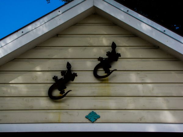 Cost of Shiplap Siding Installation in Nampa