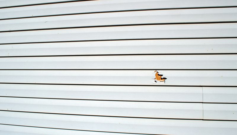 Vinyl Siding Repair Service Image 1